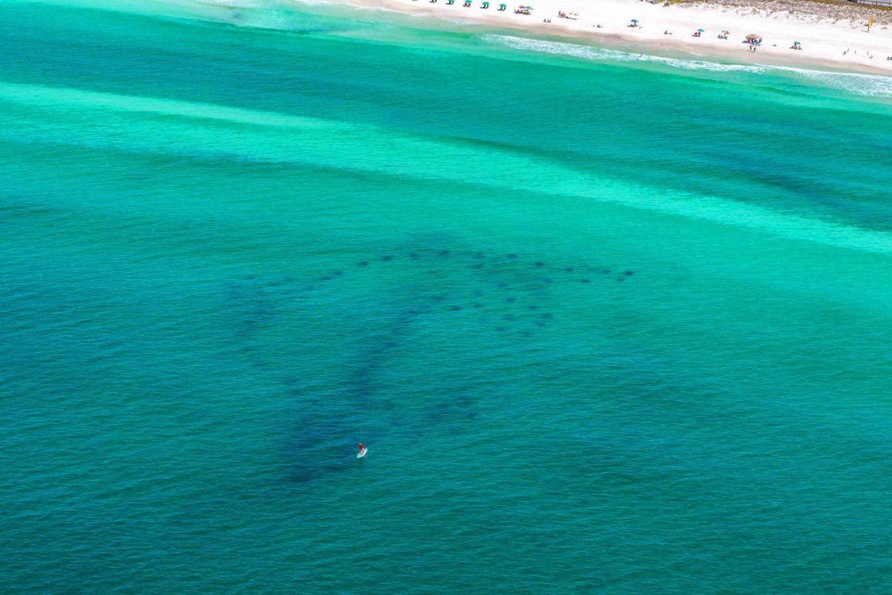 Apartmán Mainsail 331 Destin Exteriér fotografie